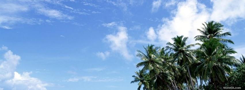 Photo palms and sky nature Facebook Cover for Free