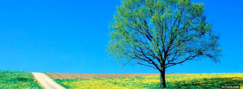 Photo tree and trail nature Facebook Cover for Free