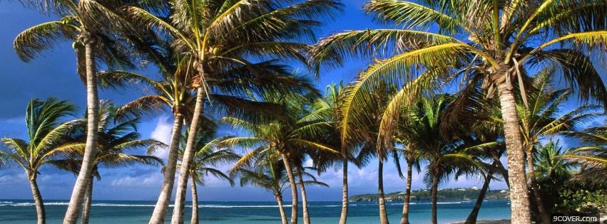 Photo west indies beach nature Facebook Cover for Free