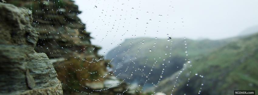 Photo spider web and rain Facebook Cover for Free