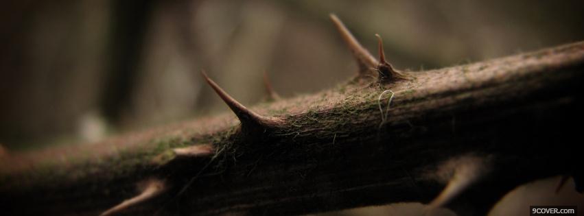 Photo thorns nature Facebook Cover for Free