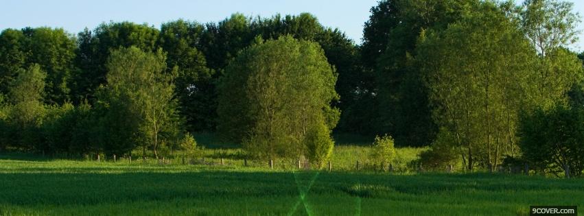 Photo round trees nature Facebook Cover for Free