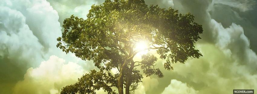 Photo tree of life nature Facebook Cover for Free
