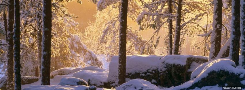Photo snowy pine forest nature Facebook Cover for Free
