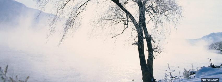 Photo tree on winter nature Facebook Cover for Free