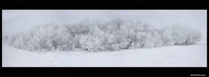 Photo white winter nature Facebook Cover for Free
