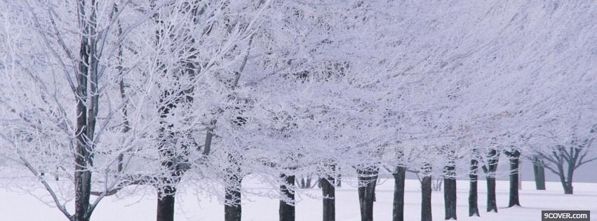 Photo white winter trees nature Facebook Cover for Free