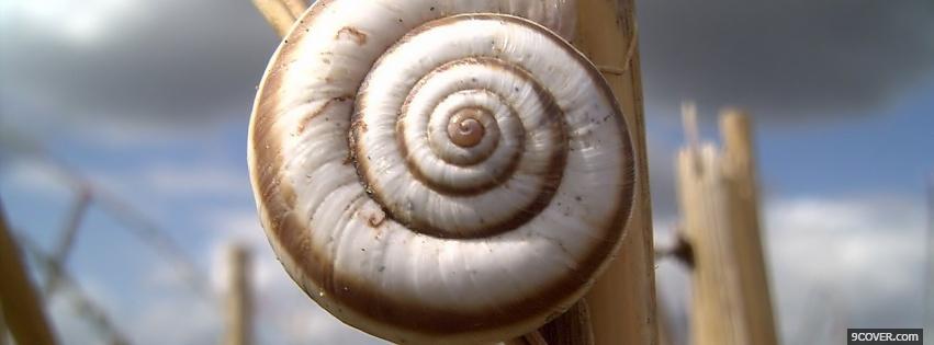 Photo snail nature Facebook Cover for Free