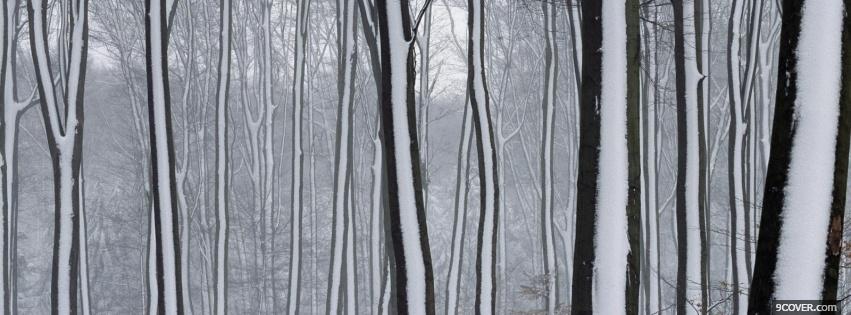 Photo snow on trees nature Facebook Cover for Free