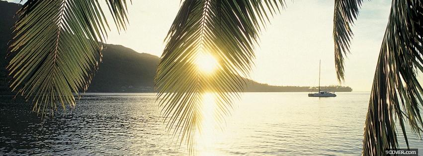 Photo sun and palm tree nature Facebook Cover for Free