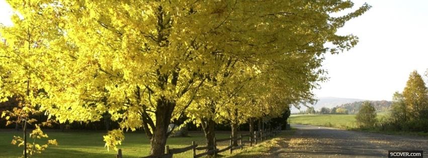 Photo trees and alley nature Facebook Cover for Free