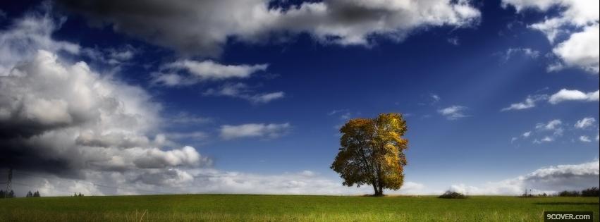 Photo one tree nature Facebook Cover for Free