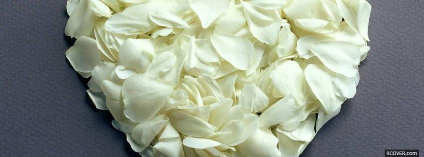 Photo white petals nature Facebook Cover for Free