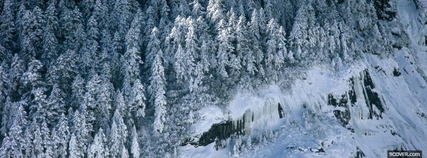 Photo snow on pine trees nature Facebook Cover for Free