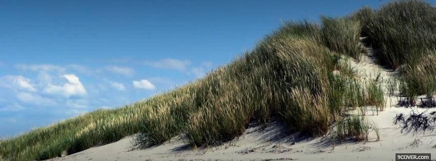 Photo plants and sand nature Facebook Cover for Free