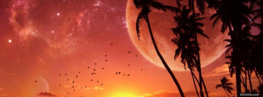 Photo sunset palm trees nature Facebook Cover for Free
