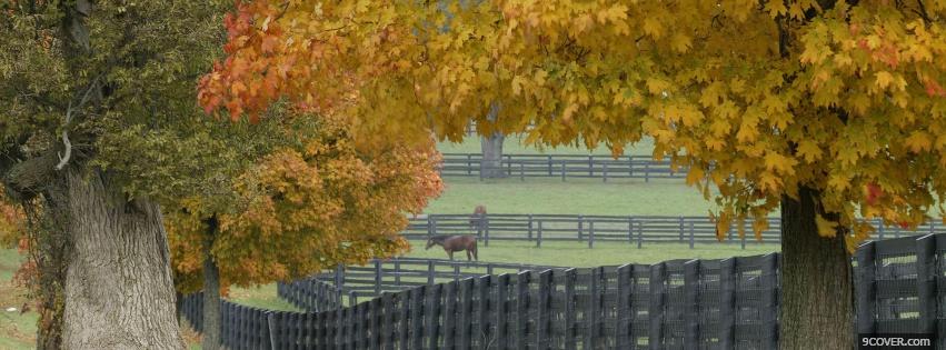 Photo autumn horse farm nature Facebook Cover for Free