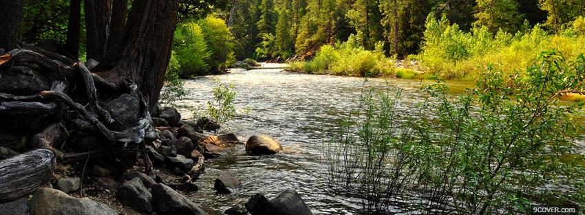 Photo river plants nature Facebook Cover for Free