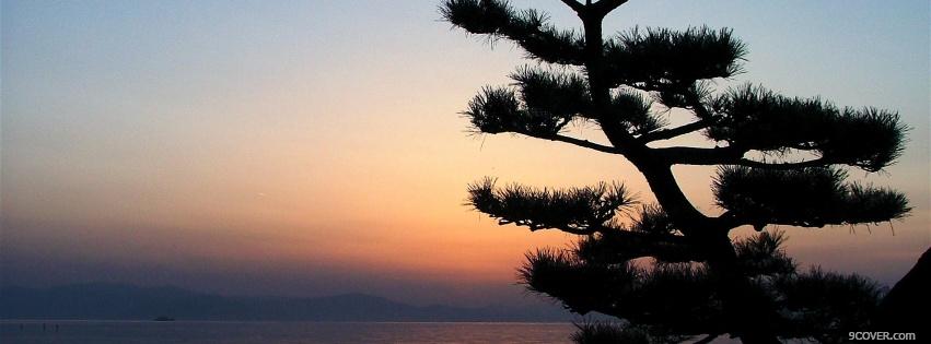 Photo tree and clear sky nature Facebook Cover for Free