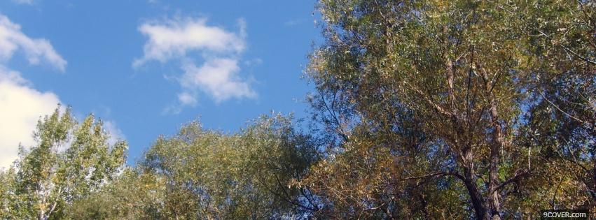 Photo top of trees nature Facebook Cover for Free