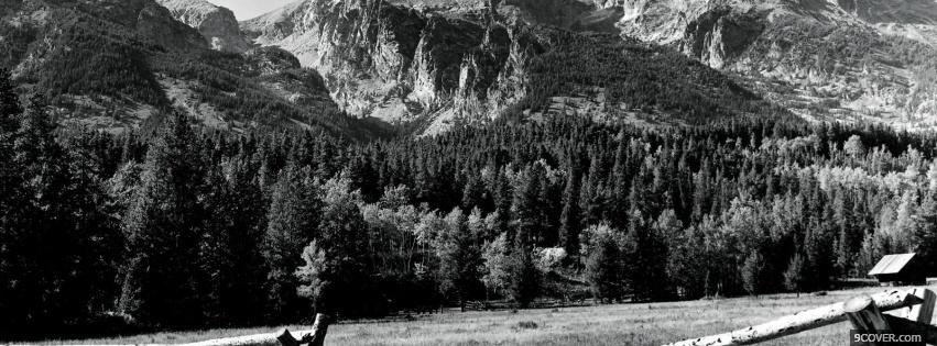 Photo forest black and white Facebook Cover for Free