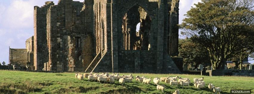 Photo old castle and animals Facebook Cover for Free
