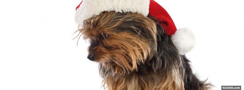 Photo cute christmas puppy Facebook Cover for Free