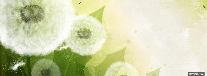 Photo dandelions creative Facebook Cover for Free