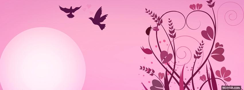 Photo pink sun and birds Facebook Cover for Free