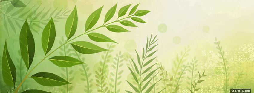 Photo green plants creative Facebook Cover for Free