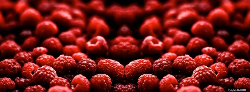Photo many rasberries food Facebook Cover for Free