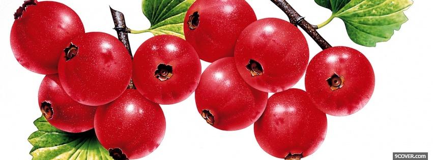Photo red fruits and leaves Facebook Cover for Free