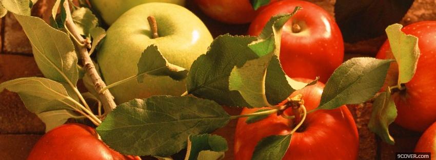 Photo red and green apples Facebook Cover for Free