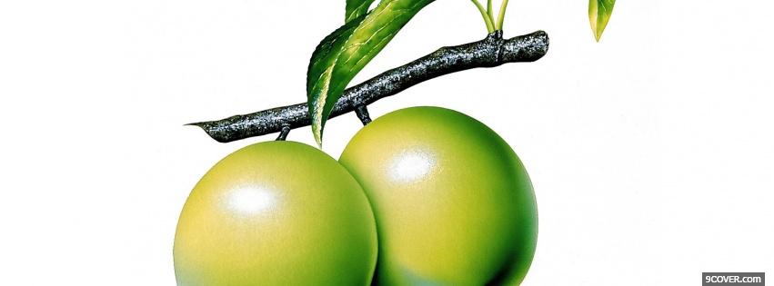 Photo green fruits Facebook Cover for Free