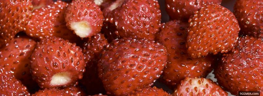 Photo many strawberries Facebook Cover for Free