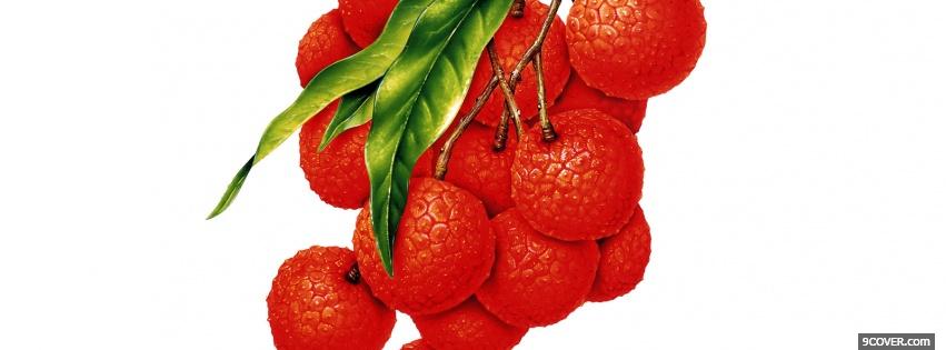 Photo batch of rasberries Facebook Cover for Free