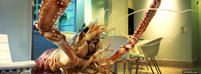 Photo big crab food Facebook Cover for Free
