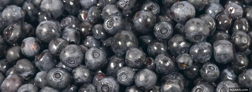 Photo blueberries food Facebook Cover for Free
