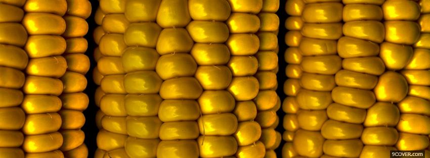 Photo yellow corn close up Facebook Cover for Free