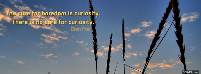 Photo no cure for curiosity Facebook Cover for Free