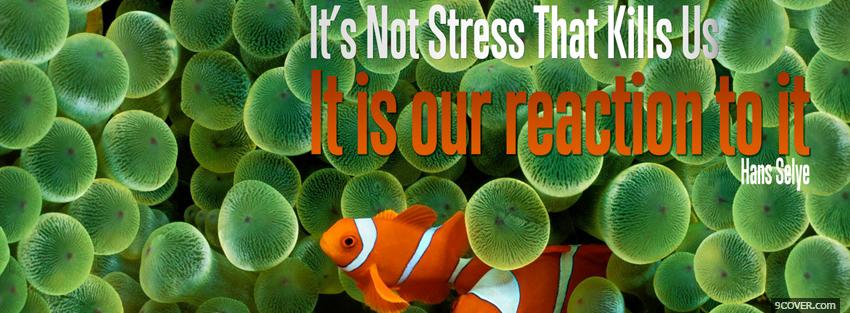 Photo reaction to stress quote Facebook Cover for Free