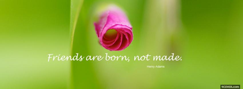 Photo friends are born quotes Facebook Cover for Free