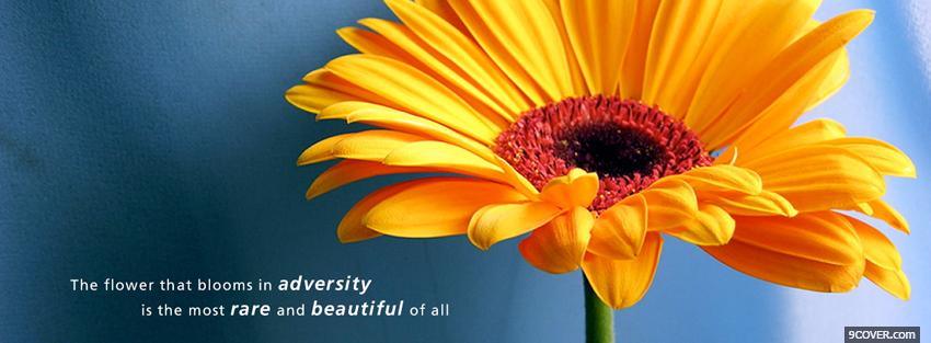 Photo the flower blooms quote Facebook Cover for Free