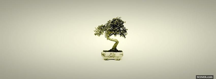 Photo bonsai tree simple Facebook Cover for Free