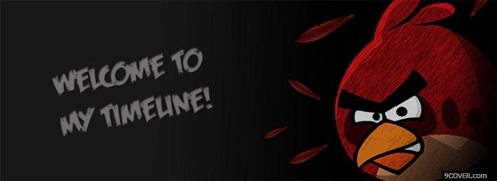 Photo Welcome Timeline Angry Birds Facebook Cover for Free