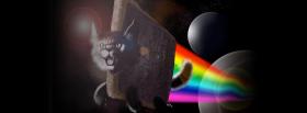 cats in space animals facebook cover