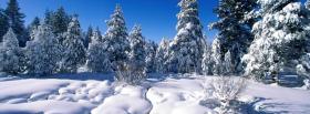 nature snow and forest facebook cover