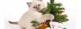 kitten playing with christmas ornaments facebook cover