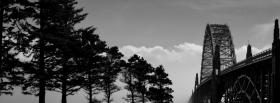 black and white trees facebook cover