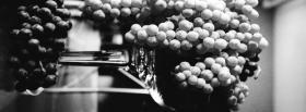 black and white grapes facebook cover